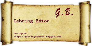 Gehring Bátor névjegykártya
